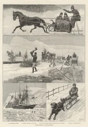 Winterszenen in Neufundland